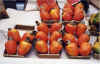 Fresh Cashews